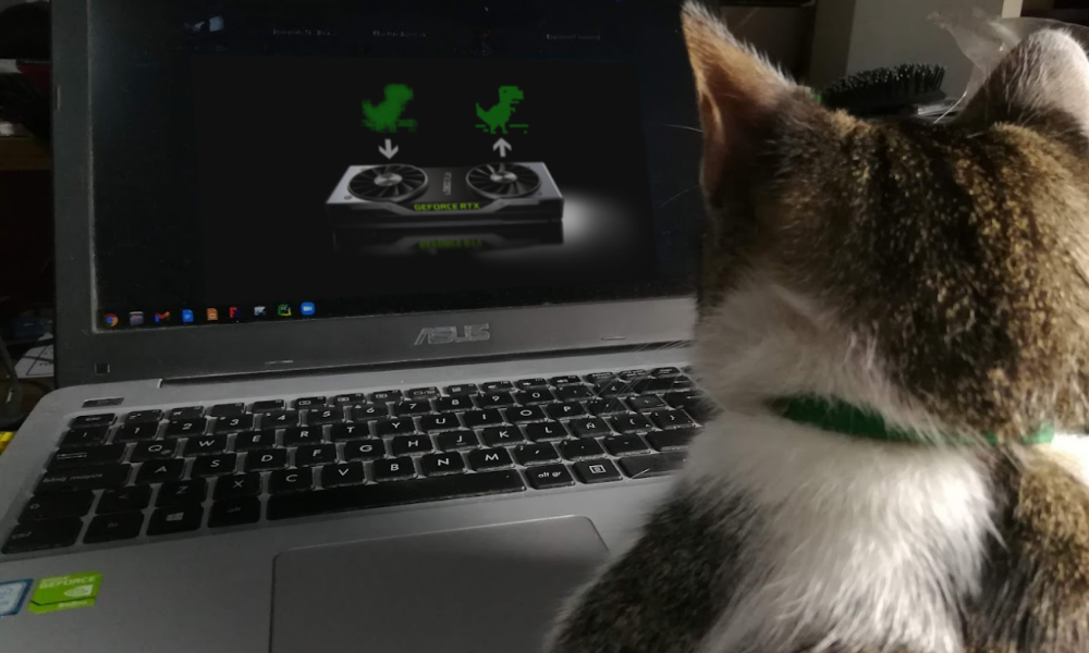 Catmu